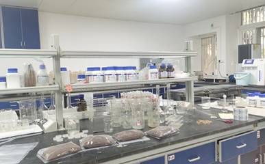 2024-2025学年度小学数理实验室工作计划