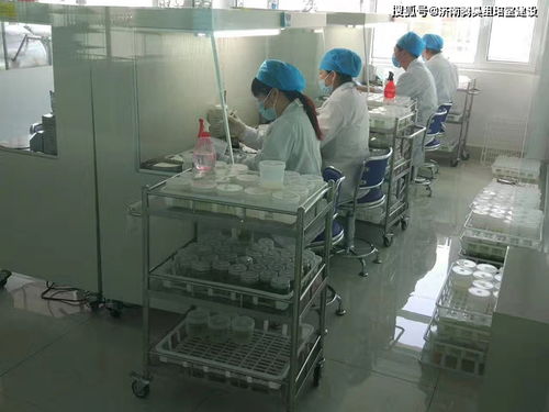 猕猴桃、红薯与甘薯组培室常用设备参数解析 组培灯与数理教学仪器的技术应用